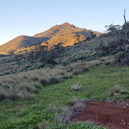 Villa Pichi Richi Park Quorn Exterior foto